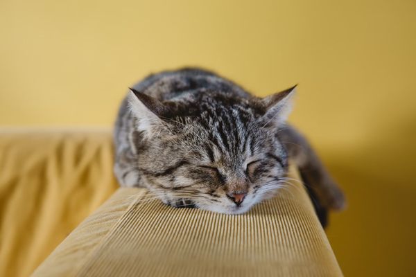 Deze android-tips helpen je om veel beter te slapen